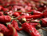 Cel mai bun aparat de copt ardeii