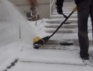 Cea mai buna freza de zapada electrica