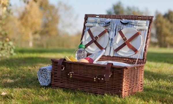 Cel mai practic cos de picnic - abcTop 2
